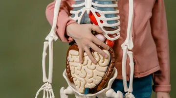 Rak jelita i dwunastnicy to rzadki i agresywny nowotwór. Jak z nim walczyć?