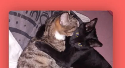 Na bezpieczne zycie