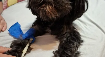 Na badania i dalszą diagnozę n