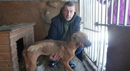 To koniec azylu dla zwierząt…