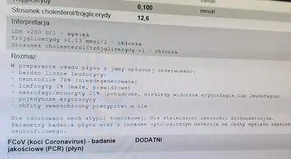Rysiu kontra FIP