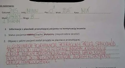 Leczenie pieska , operacja