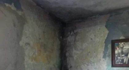 Grzyb powoli nas zabija