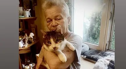 Pomoc dla Pani Joli i jej 14 kociaków