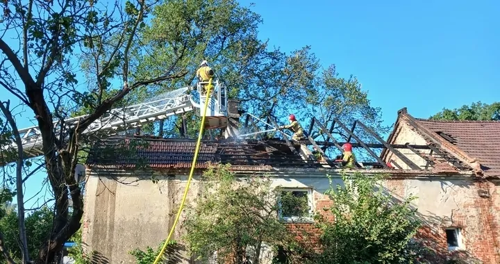 Pożar w miejscowości Borowa