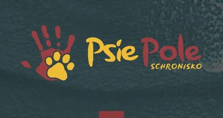 Zbieram na schronisko