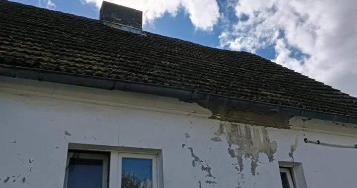Pomoc na remont dachu 🏠