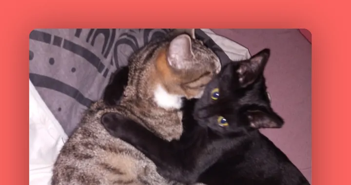 Na bezpieczne zycie