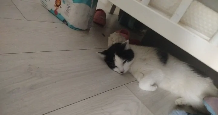Leczenie i specjalna karna