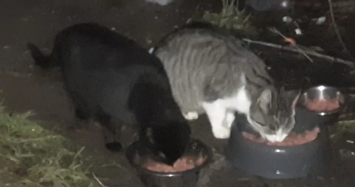 PomagaMY, bo poMOC ma MOC