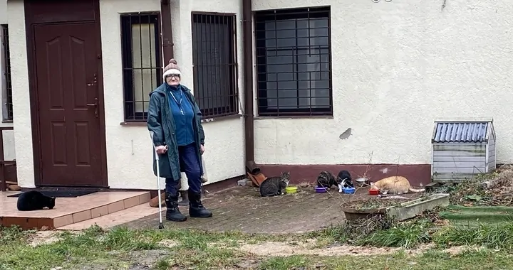 Pomoc bezdomnym kotom