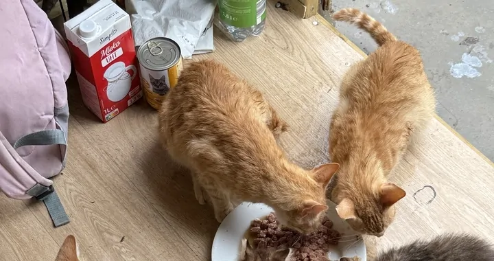 Pomoc dwóm rudaskom