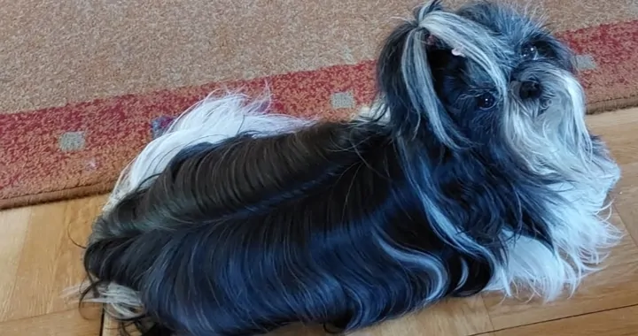 Rezonans i leczenie Bu