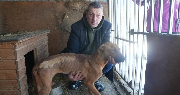 To koniec azylu dla zwierząt…