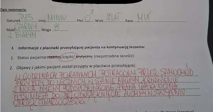 Leczenie pieska , operacja