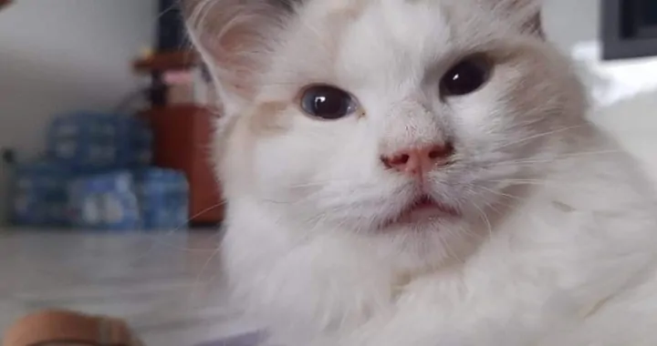 Umieram pomóż błagam