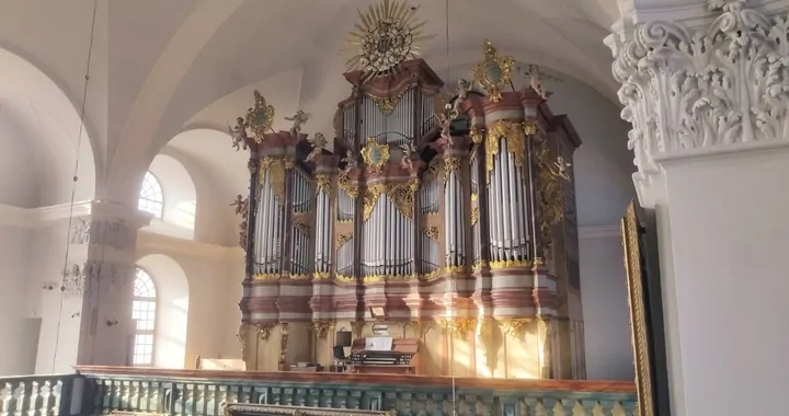 URATUJMY ZABYTKOWE ORGANY