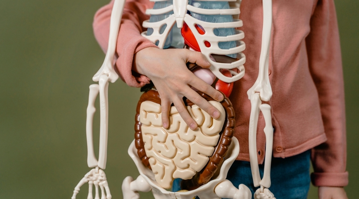 Rak jelita i dwunastnicy to rzadki i agresywny nowotwór. Jak z nim walczyć?