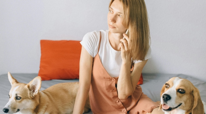 Ile kosztuje operacja dyskopatii u psa? Cena i leczenie kręgosłupa Twojego pupila