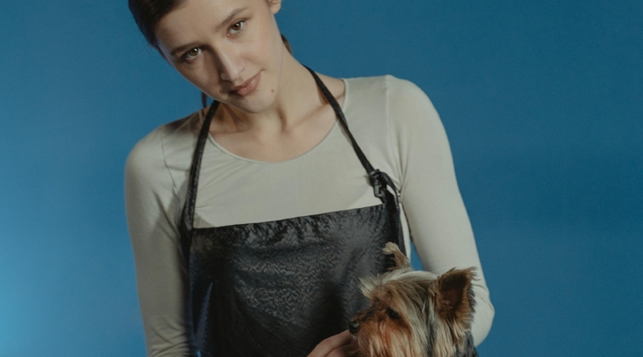 Zwichnięcie rzepki u psa: koszt operacji i leczenia weterynaryjnego