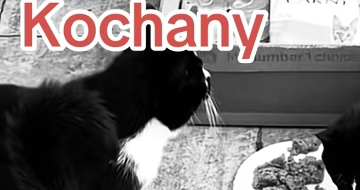 Zdjęcie osoby potrzbującej