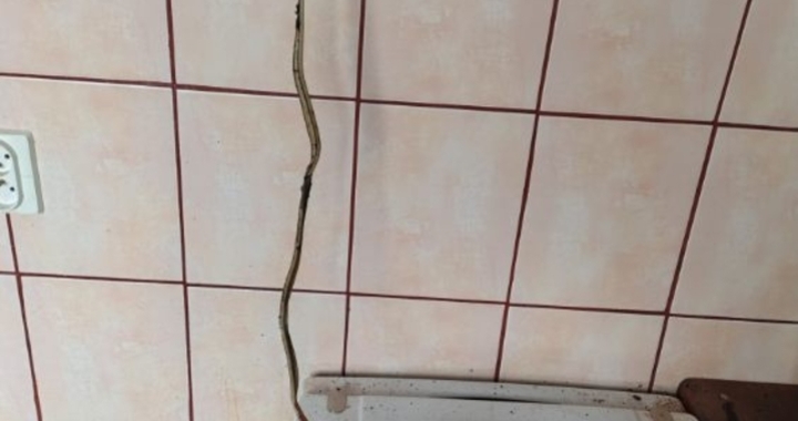 Zdjęcie osoby potrzbującej