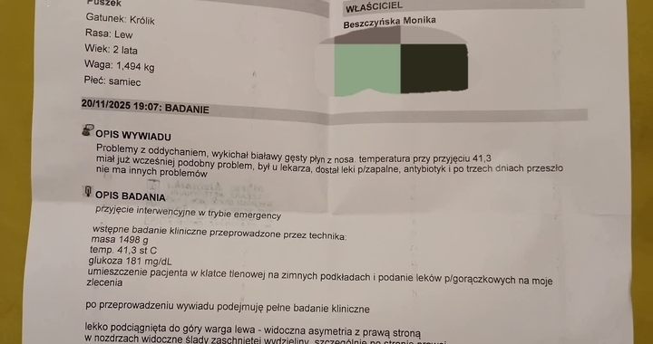Zdjęcie osoby potrzbującej
