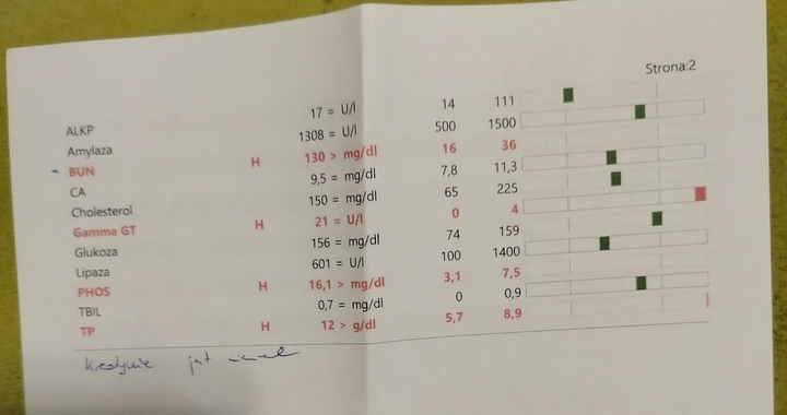 Zdjęcie osoby potrzbującej