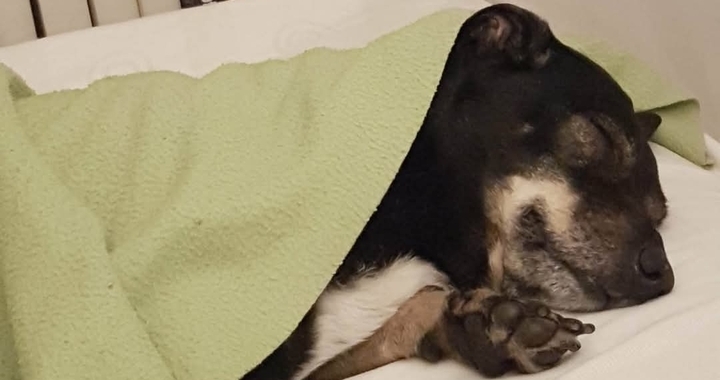Zdjęcie osoby potrzbującej