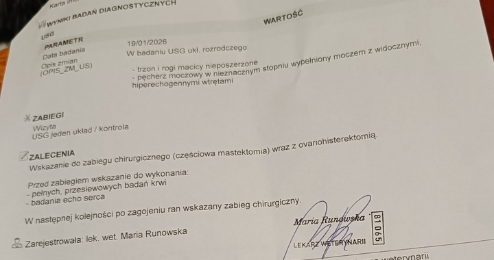 Zdjęcie osoby potrzbującej