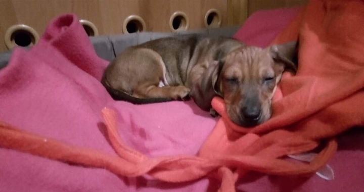Zdjęcie osoby potrzbującej