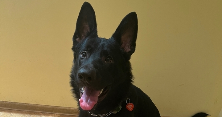 Zdjęcie osoby potrzbującej