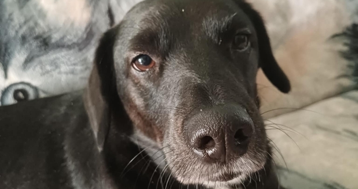 Zdjęcie osoby potrzbującej