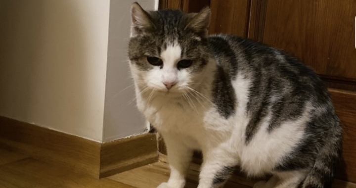 Zdjęcie osoby potrzbującej