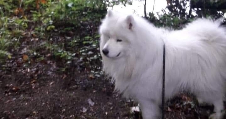 Zdjęcie osoby potrzbującej