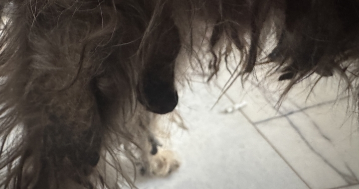 Zdjęcie osoby potrzbującej