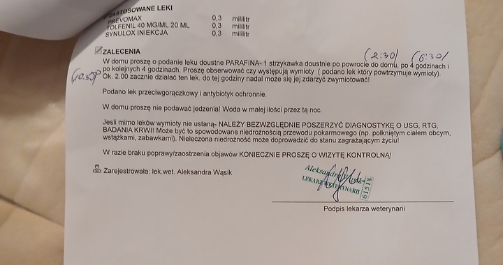 Zdjęcie osoby potrzbującej