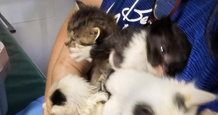 Zdjęcie osoby potrzbującej