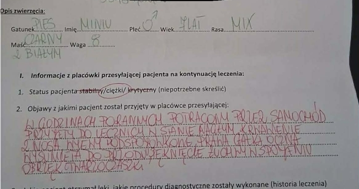 Zdjęcie osoby potrzbującej