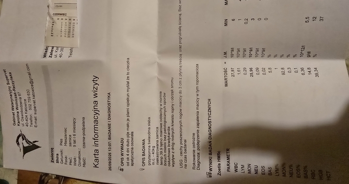 Zdjęcie osoby potrzbującej