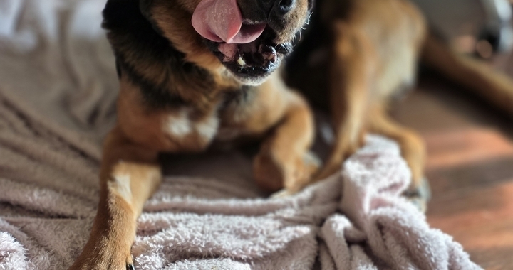 Zdjęcie osoby potrzbującej