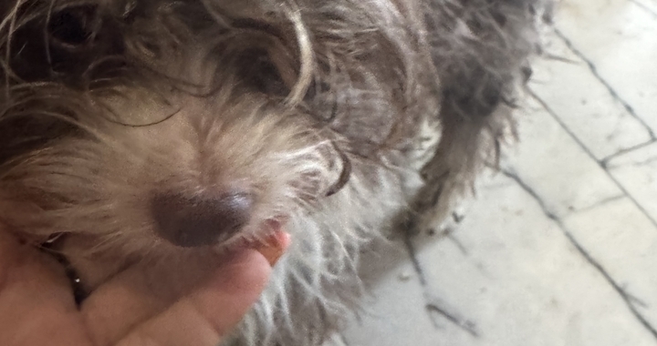 Zdjęcie osoby potrzbującej