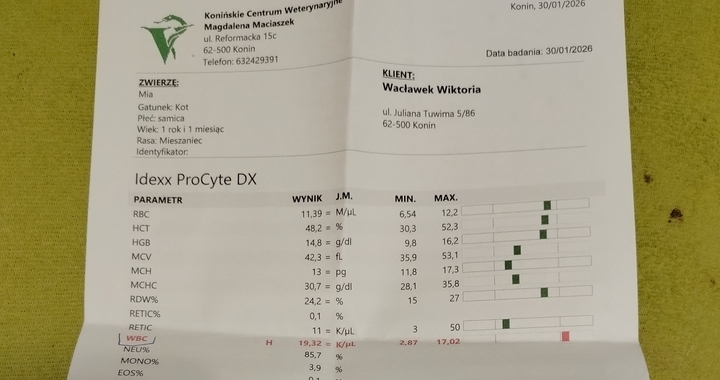 Zdjęcie osoby potrzbującej