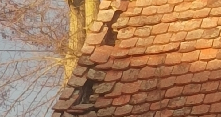 Zdjęcie osoby potrzbującej
