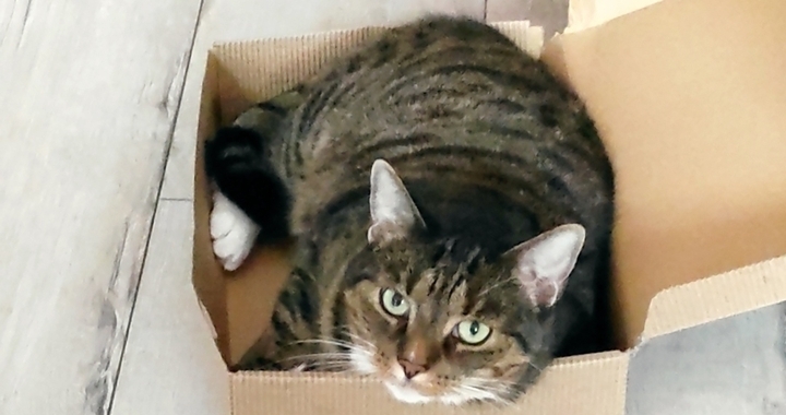 Zdjęcie osoby potrzbującej