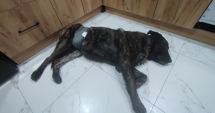 Zdjęcie osoby potrzbującej
