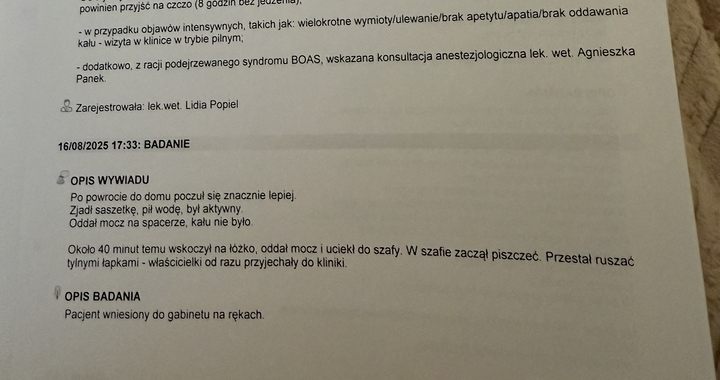 Zdjęcie osoby potrzbującej