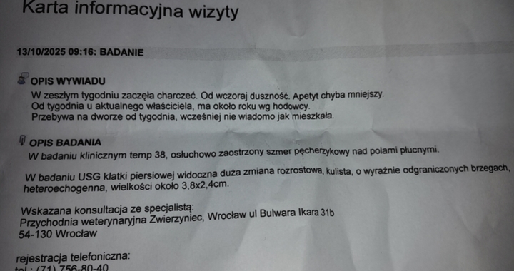 Zdjęcie osoby potrzbującej