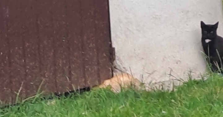Zdjęcie osoby potrzbującej