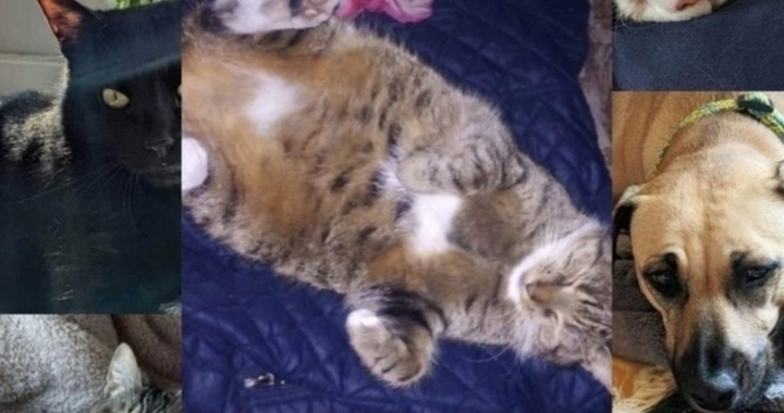 Zdjęcie osoby potrzbującej